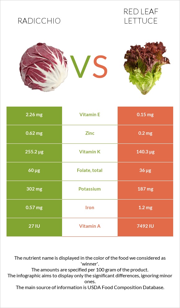 Radicchio vs Red leaf lettuce infographic