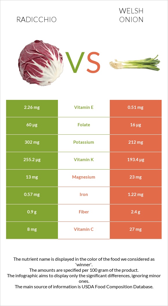 Radicchio vs Welsh onion infographic