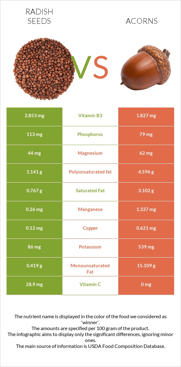 Radish seeds vs Acorns infographic