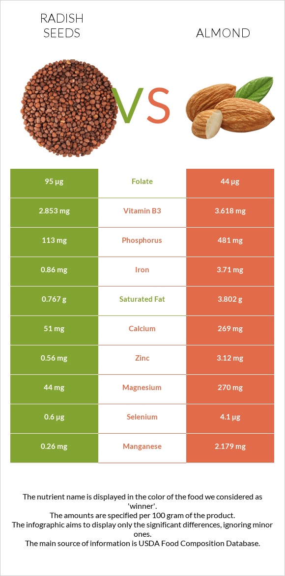 Radish seeds vs Almond infographic