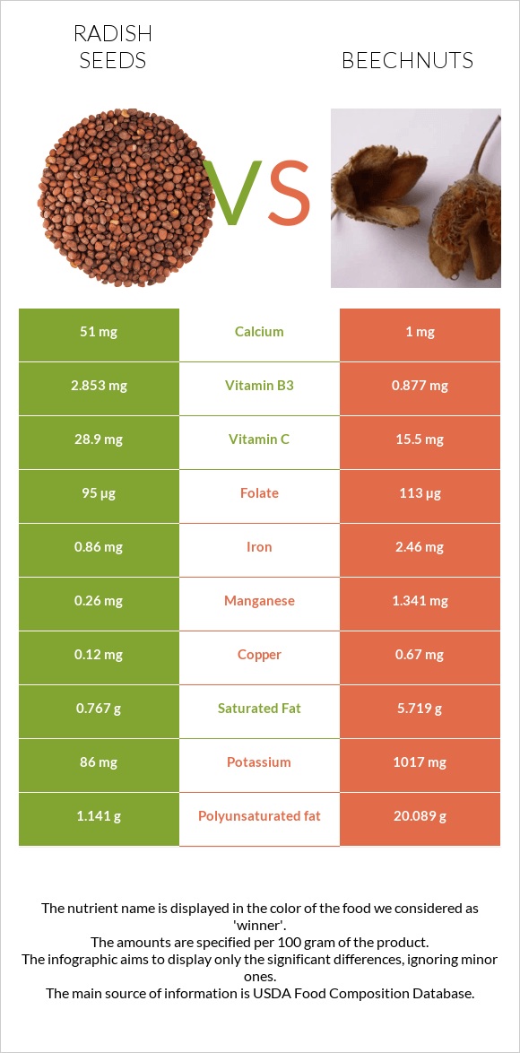 Radish seeds vs Beechnuts infographic