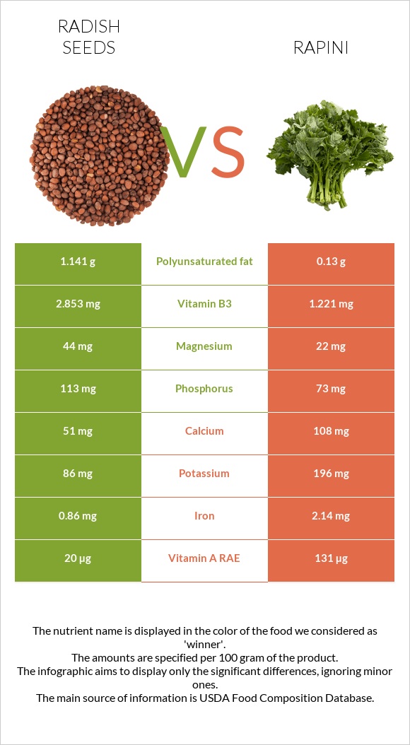 Radish seeds vs Rapini infographic