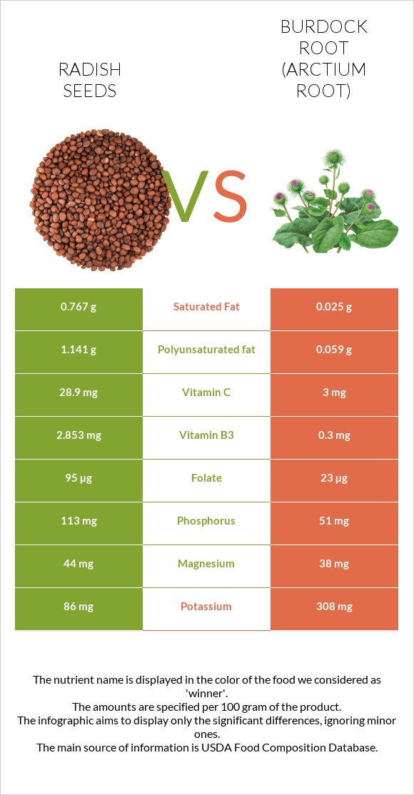 Radish seeds vs Կռատուկի արմատ (արկտի արմատ) infographic