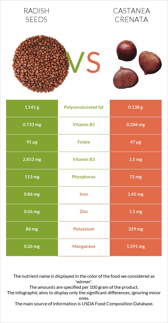 Radish seeds vs Շագանակ (crenata) infographic