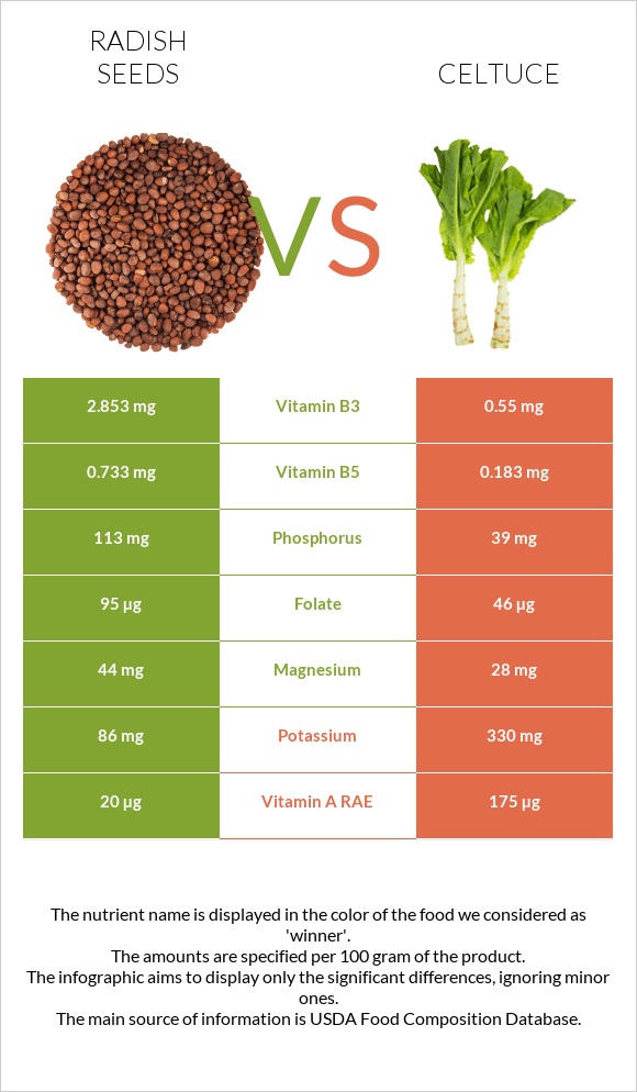 Radish seeds vs Celtuce infographic