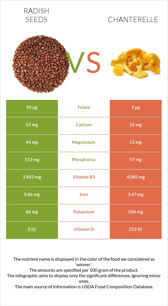 Radish seeds vs Chanterelle infographic