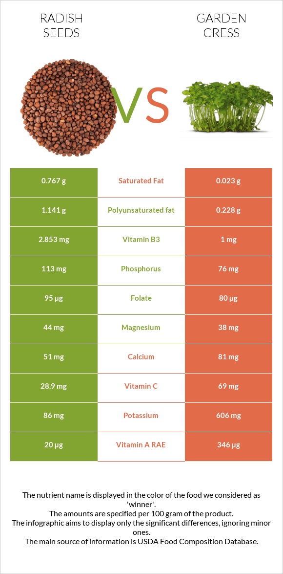 Radish seeds vs Garden cress infographic