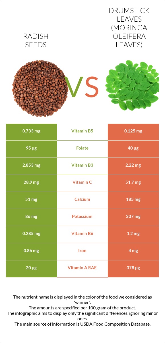 Radish seeds vs Drumstick leaves infographic