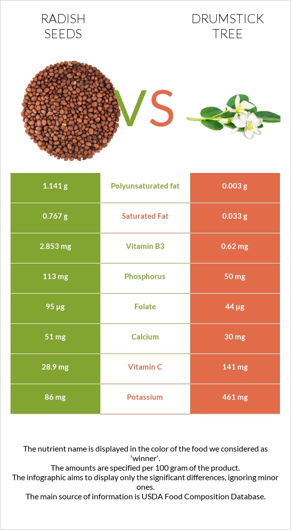 Radish seeds vs Drumstick tree infographic