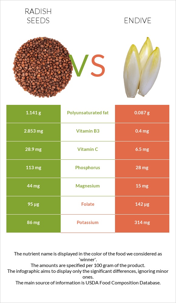 Radish seeds vs Endive infographic