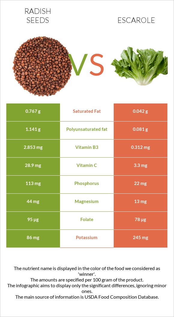 Radish seeds vs Escarole infographic