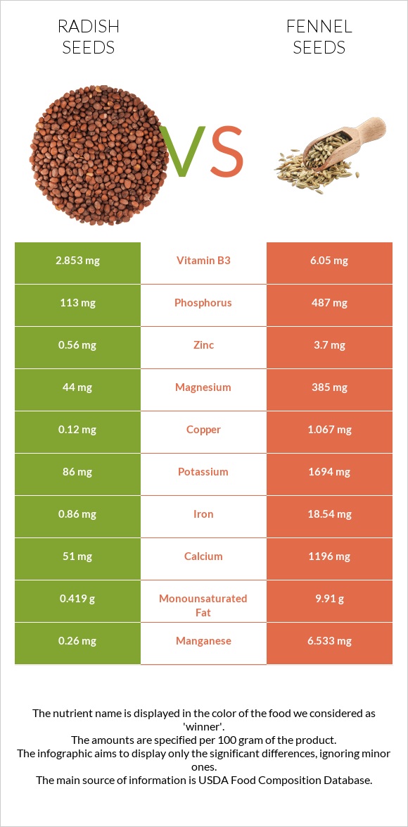 Radish seeds vs Fennel seeds infographic
