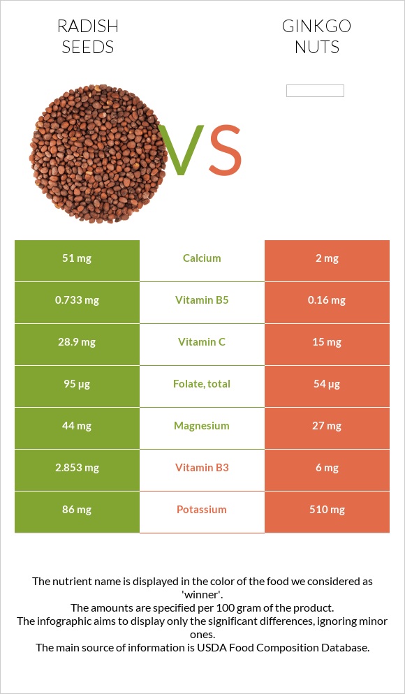 Radish seeds vs Ginkgo nuts infographic