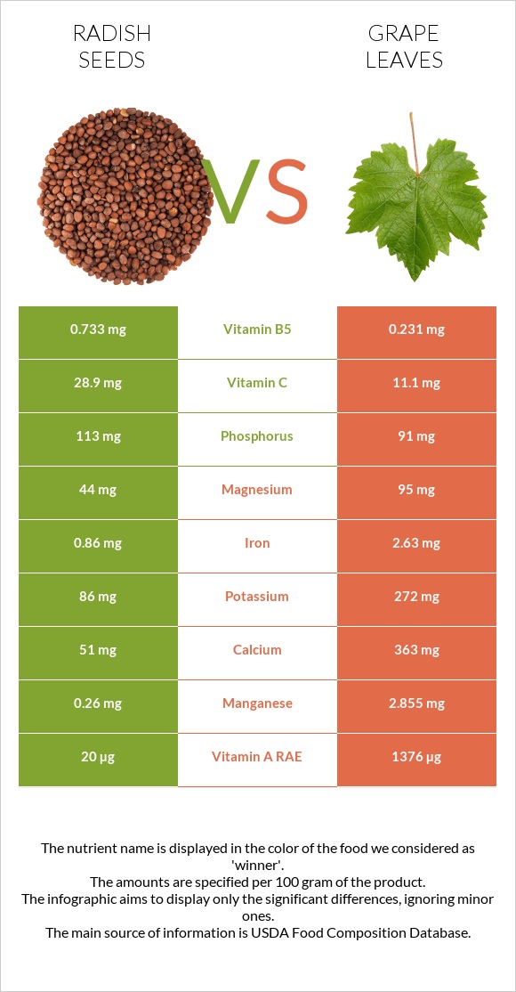Radish seeds vs Grape leaves infographic