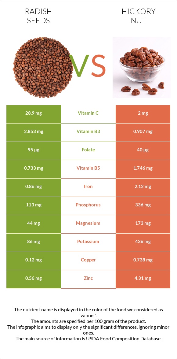 Radish seeds vs Hickorynuts infographic