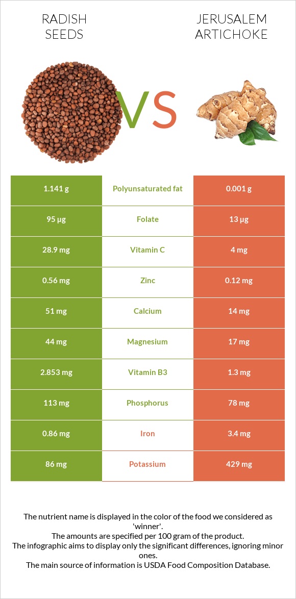 Radish seeds vs Jerusalem artichoke infographic