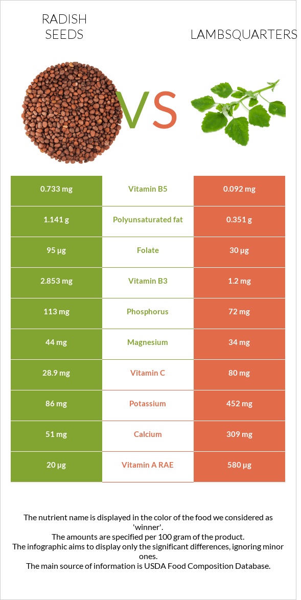 Radish seeds vs Lambsquarters infographic