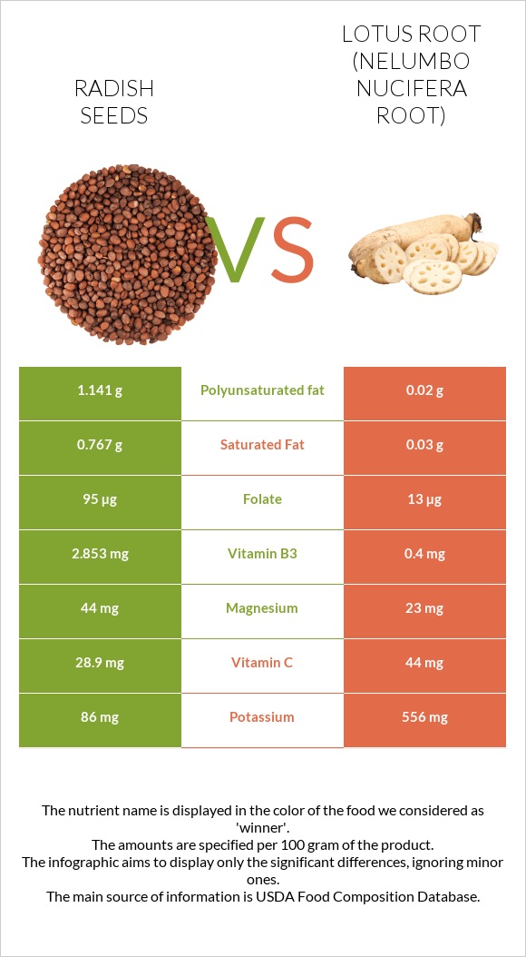 Radish seeds vs Լոտոս արմատ infographic