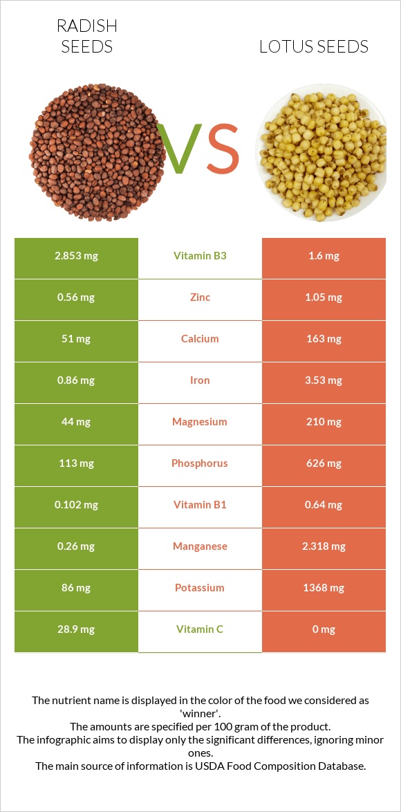 Radish seeds vs Lotus seeds infographic