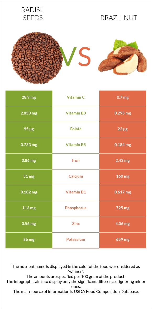 Radish seeds vs Brazil nut infographic