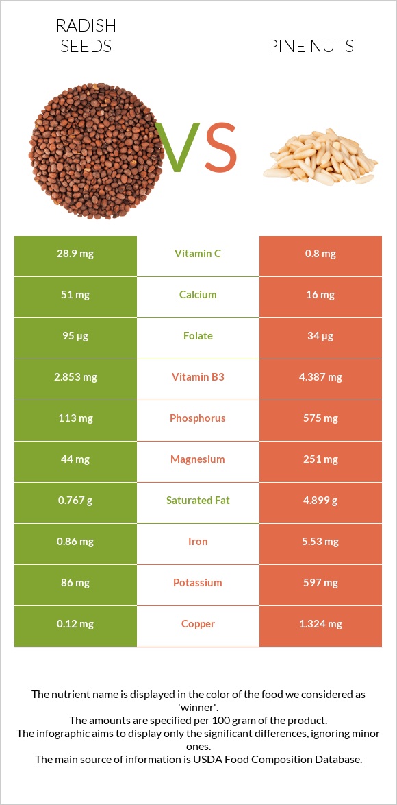 Radish seeds vs Pine nuts infographic