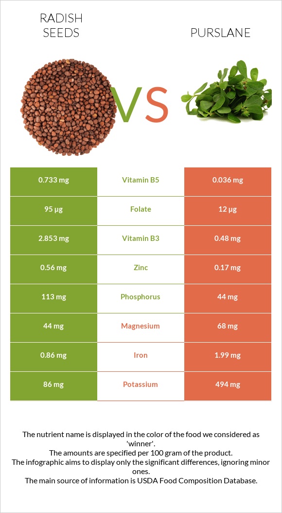 Radish seeds vs Purslane infographic