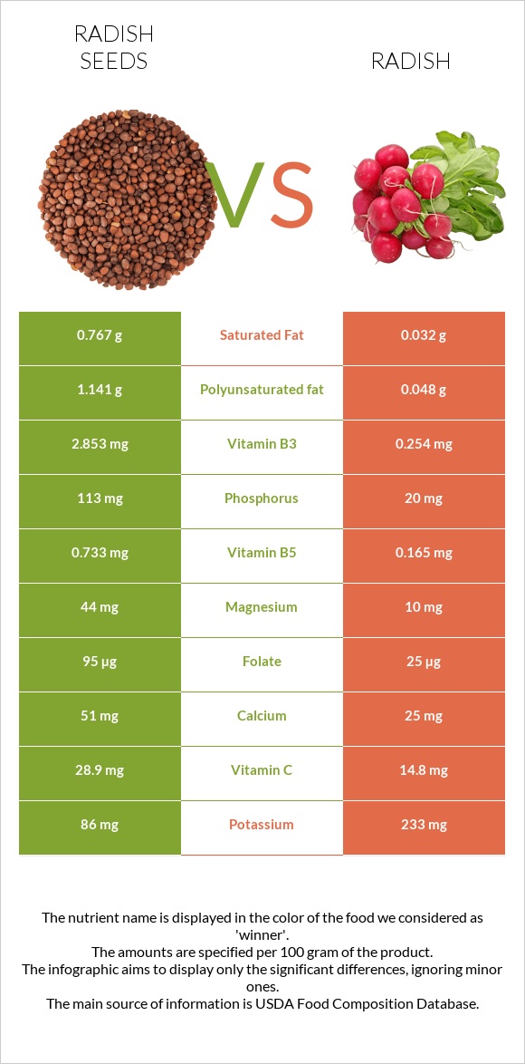 Radish seeds vs Բողկ infographic