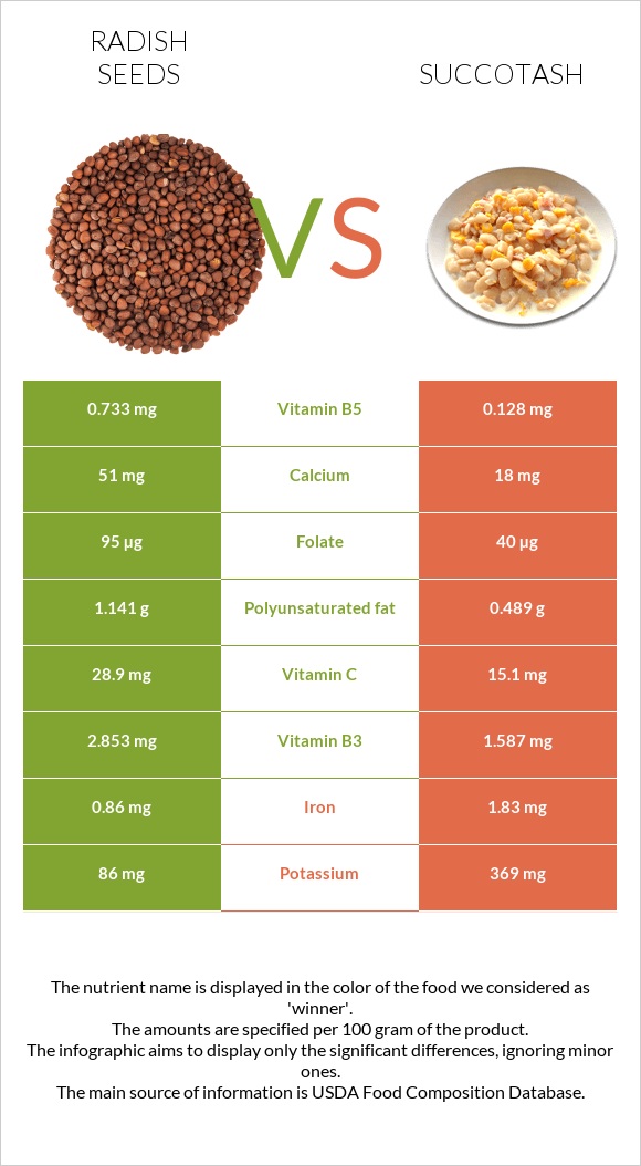 Radish seeds vs Succotash infographic