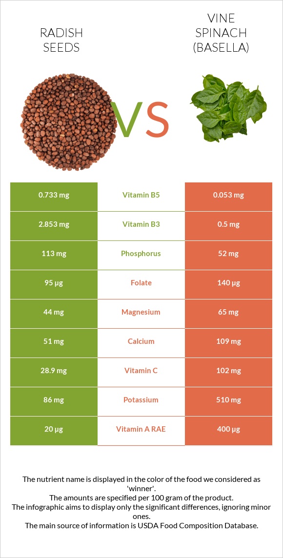 Radish seeds vs Vine spinach (basella) infographic