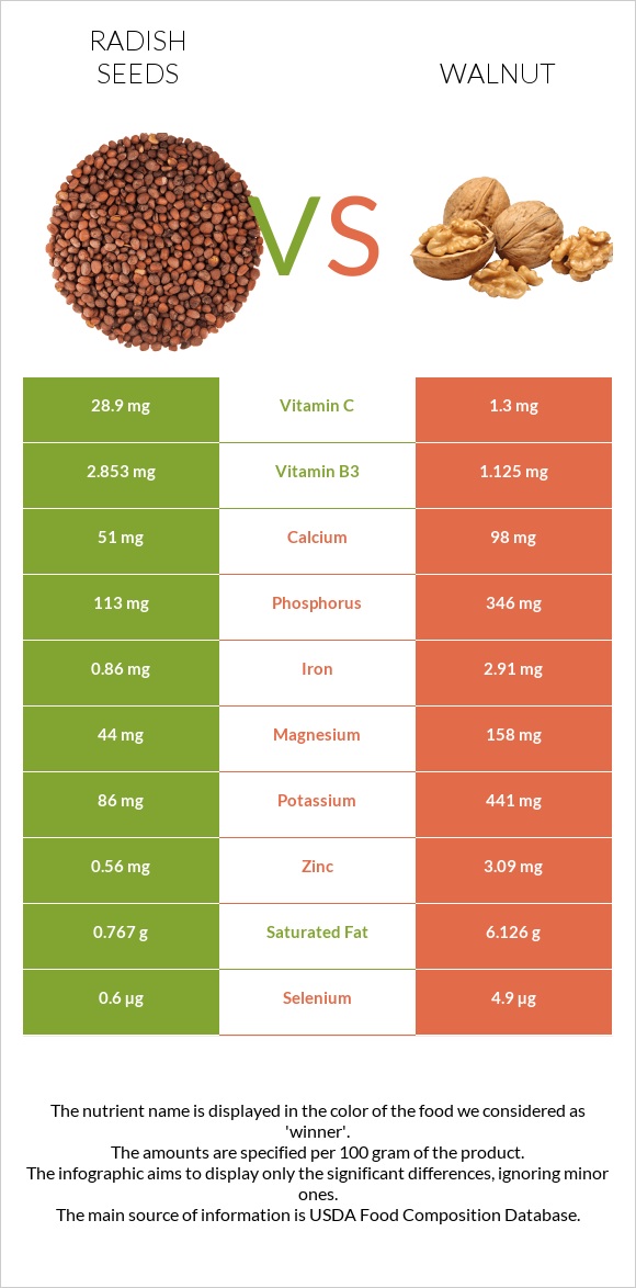 Radish seeds vs Walnut infographic