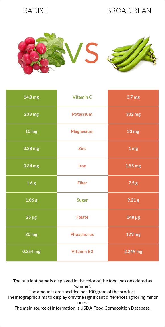 Radish vs Broad bean infographic