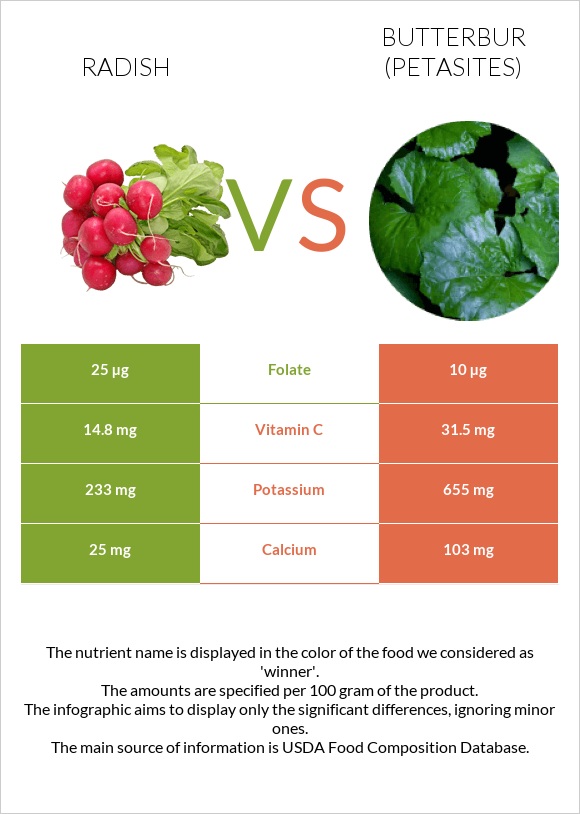 Radish vs Butterbur infographic