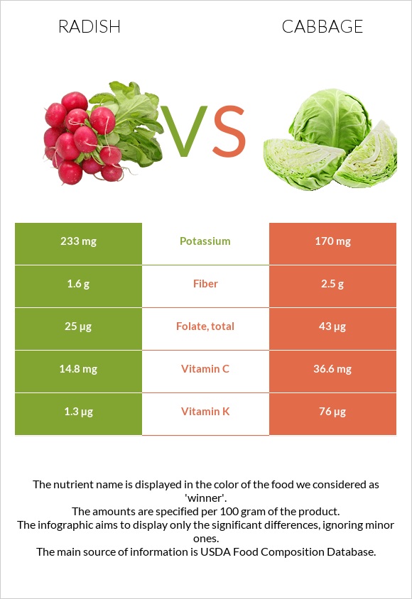 Radish vs Cabbage infographic