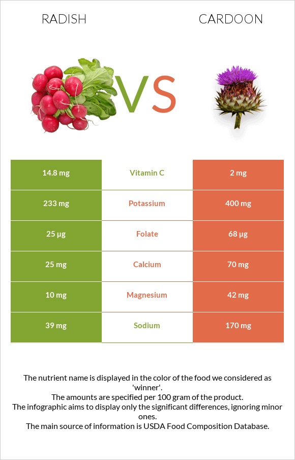 Radish vs Cardoon infographic