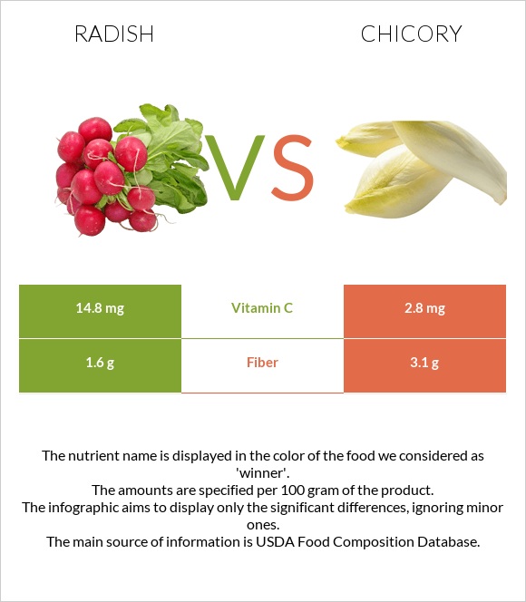 Radish vs Chicory infographic