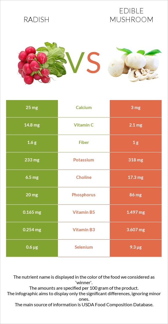 Radish vs Edible mushroom infographic
