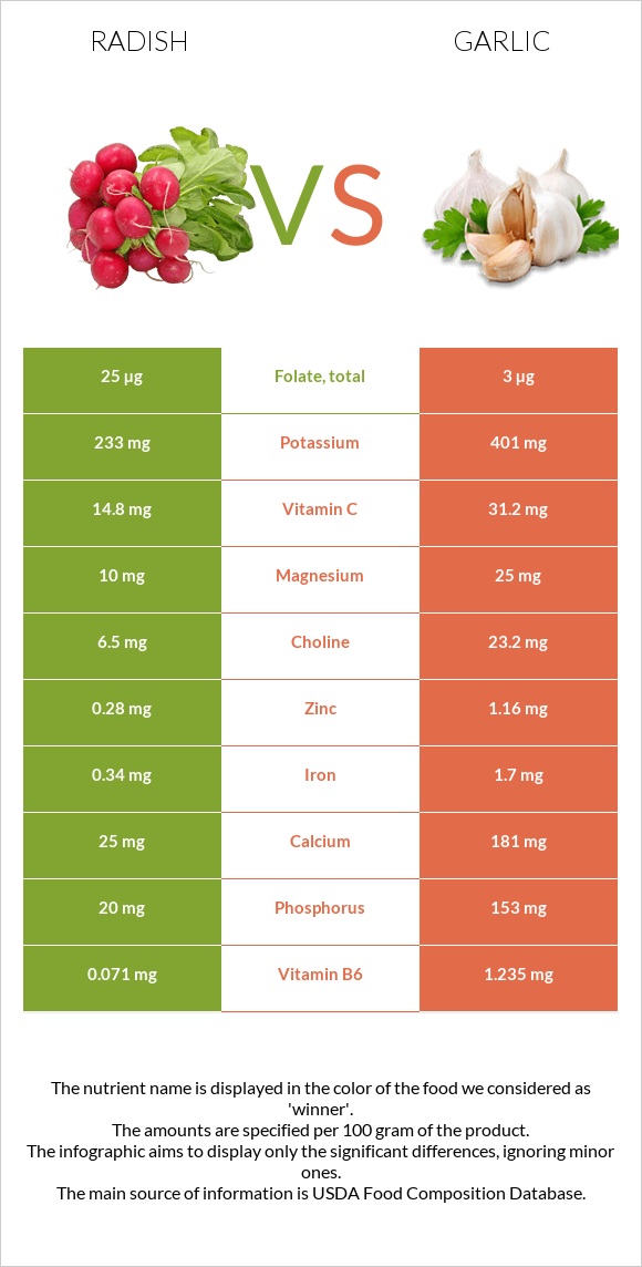 Radish vs Garlic infographic