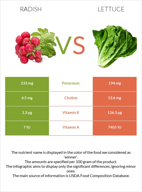 Radish vs Lettuce infographic