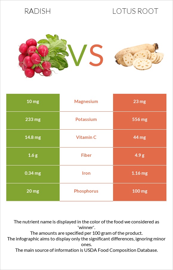 Բողկ vs Լոտոս արմատ infographic