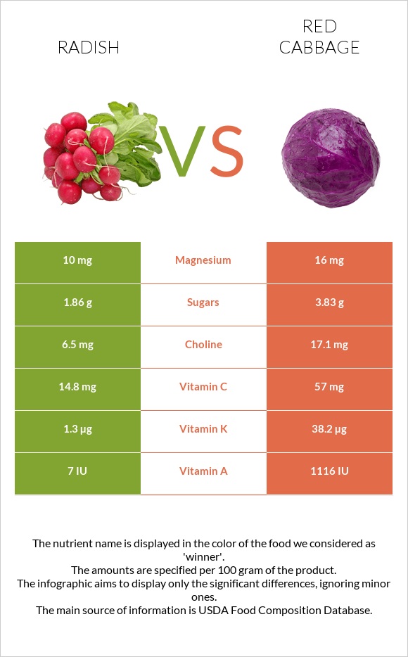 Radish vs Red cabbage infographic