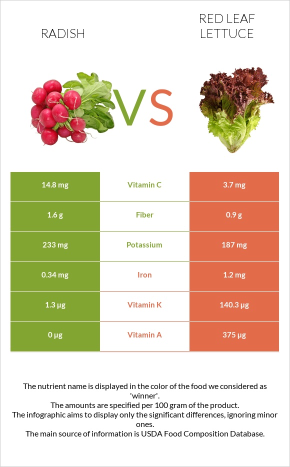 Բողկ vs Red leaf lettuce infographic