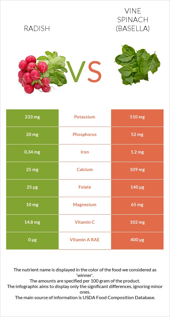 Radish vs Vine spinach (basella) infographic