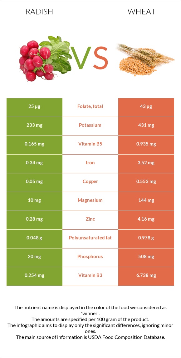 Բողկ vs Ցորեն infographic