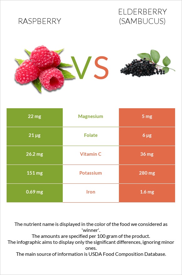 Ազնվամորի vs Elderberry infographic