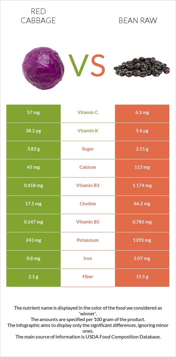 Red cabbage vs Bean raw infographic