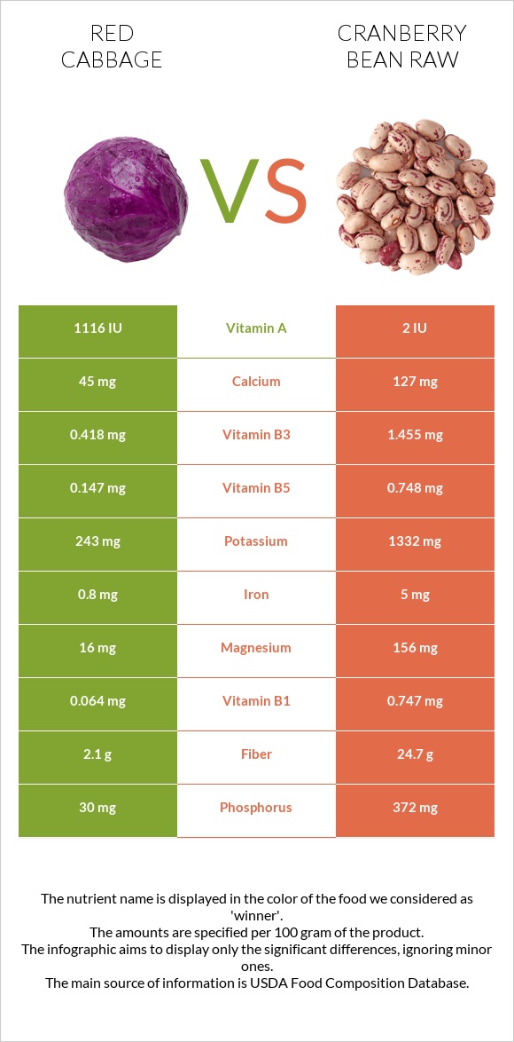 Red cabbage vs Cranberry bean raw infographic