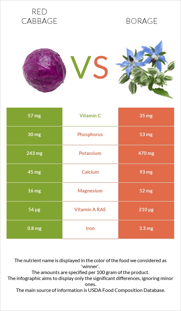 Red cabbage vs Borage infographic