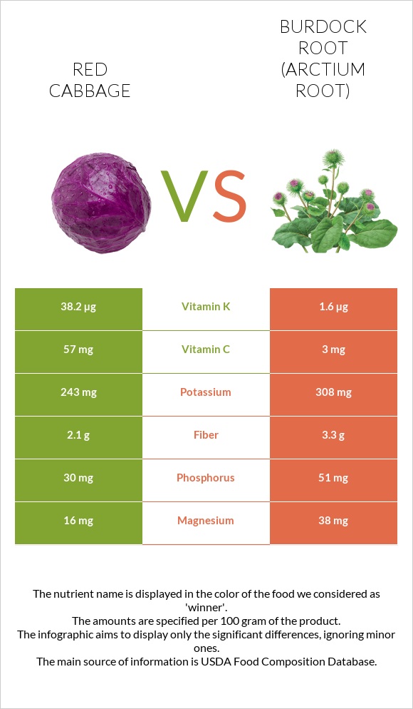 Red cabbage vs Burdock root infographic