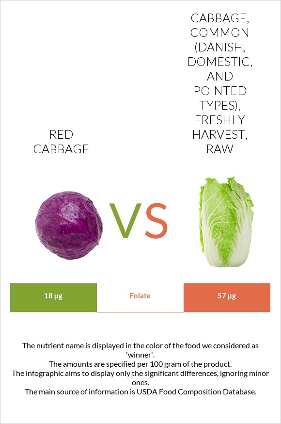 Կարմիր կաղամբ vs Cabbage, common (danish, domestic, and pointed types), freshly harvest, raw infographic