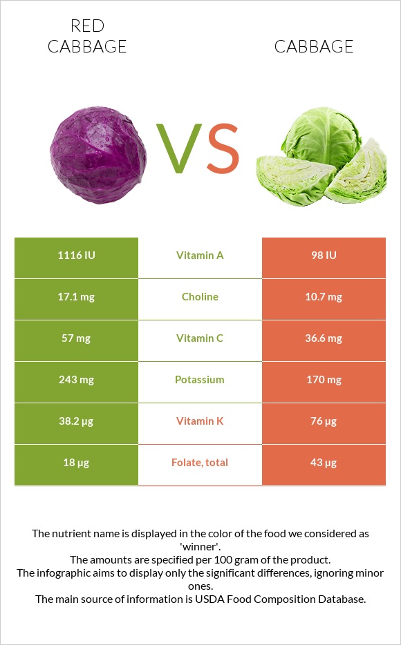 Red cabbage vs Cabbage infographic
